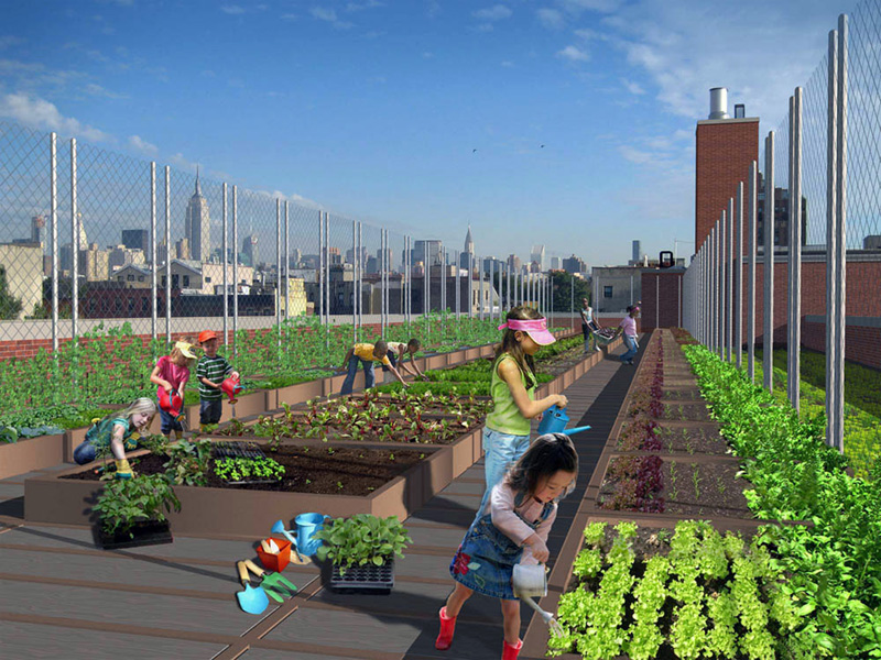 Educational Rooftop Rooftop Design School