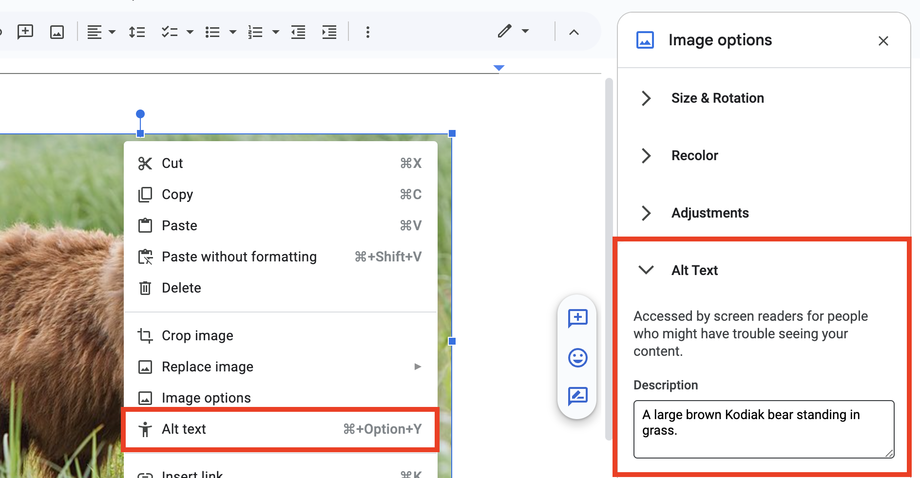 Screenshot of Google Doc's Alt Text section within Image options.