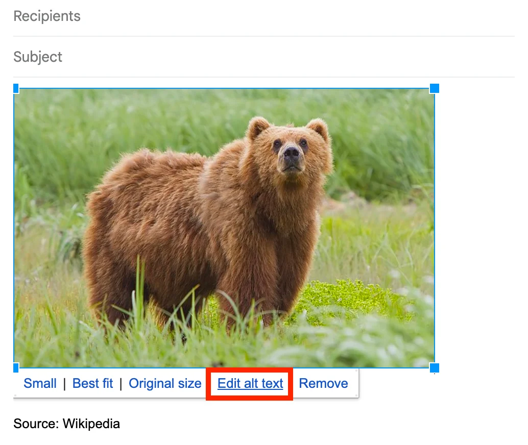 Screenshot of a draft Gmail message showing a photo with various image options, including the Edit Alt Text button.