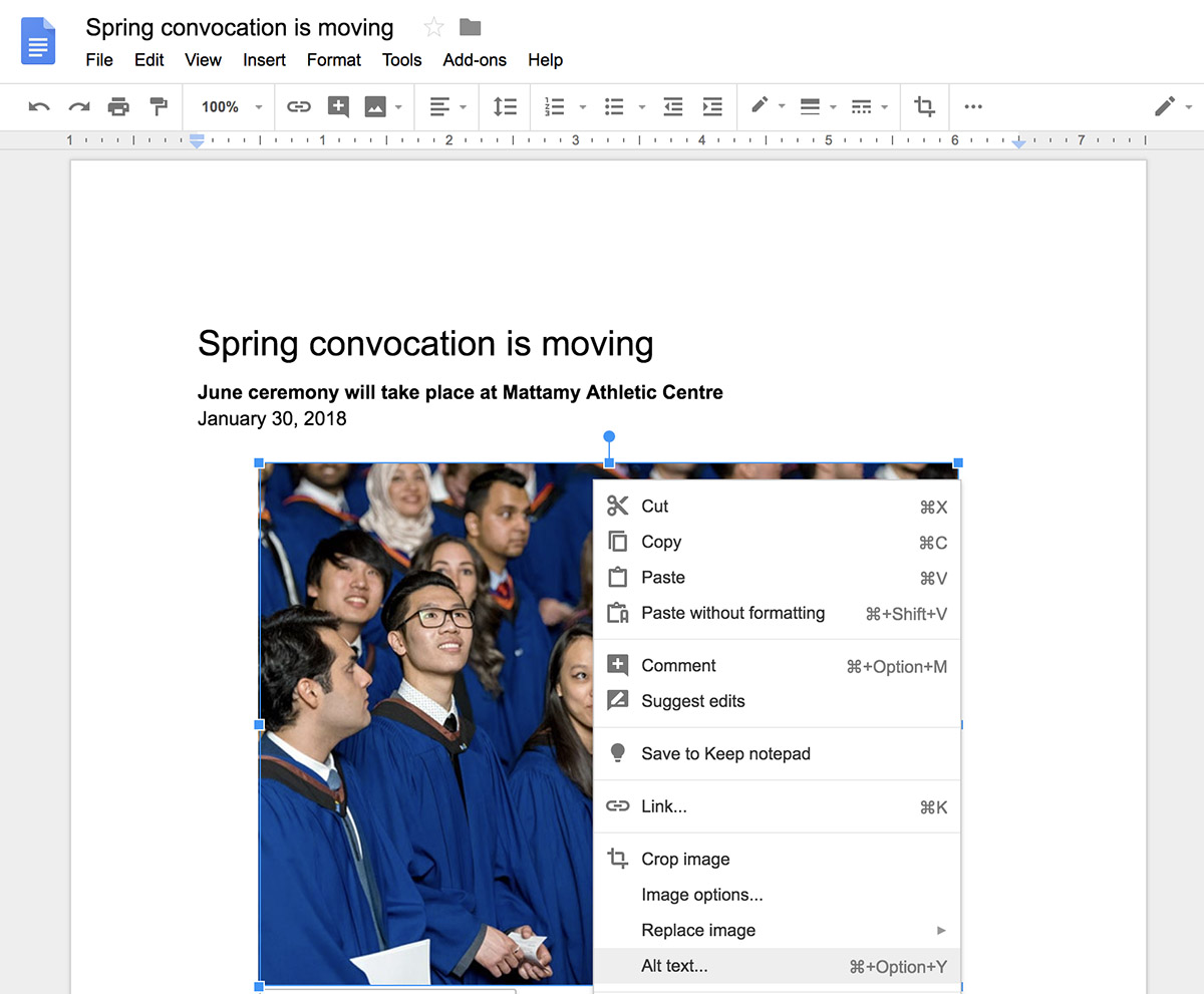 Screenshot of Google Docs. Add alt text by opening the image properties and navigating to 'Alt text' menu option.