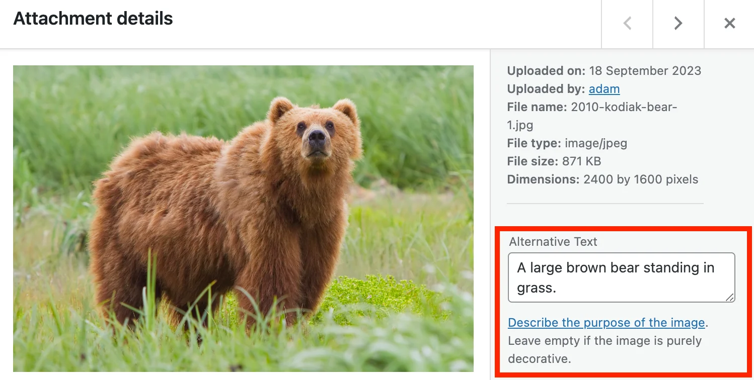 Screenshot of an opened image within WordPress's media library. A modal titled Attachment details shows the meta information and alt text field.