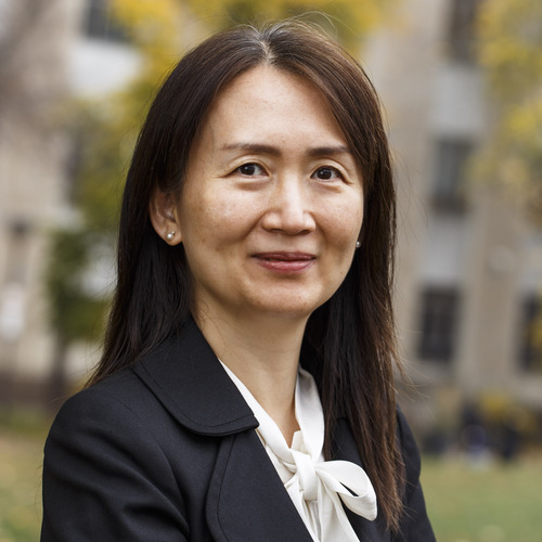 Dr. Lu Wang