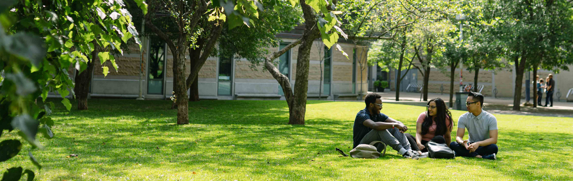 Three students talk while sitting in the Quad on a sunny day.