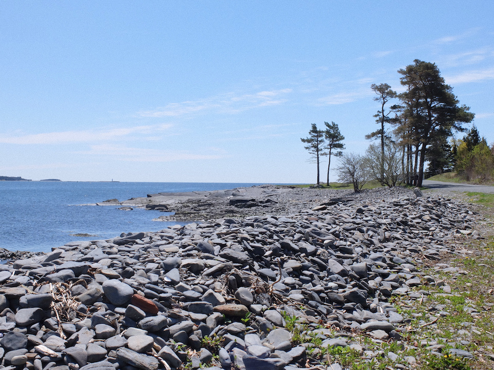 Rocks on the foreground and trees, shore in the background in Halifax, Nova Scotia
