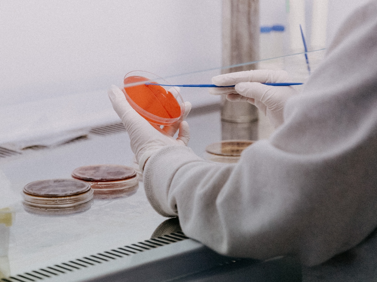 Scientist holding a petri dish