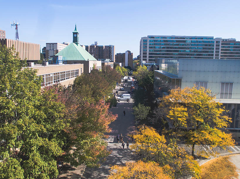 An aerial view of the campus in fall showing Gould Street and trees with colourful leaves