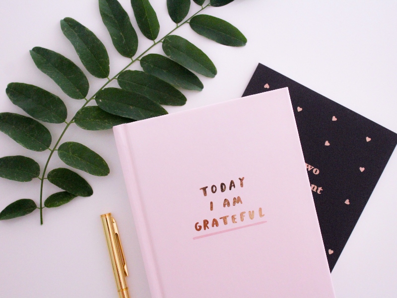 Pink notebook with a pen and plant