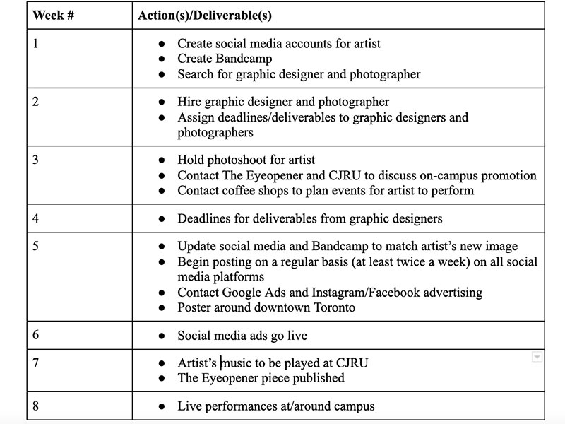 My 8-week timeline for our DIY Marketing Plan, including creating social media, accounts, hiring contacts and live performances.