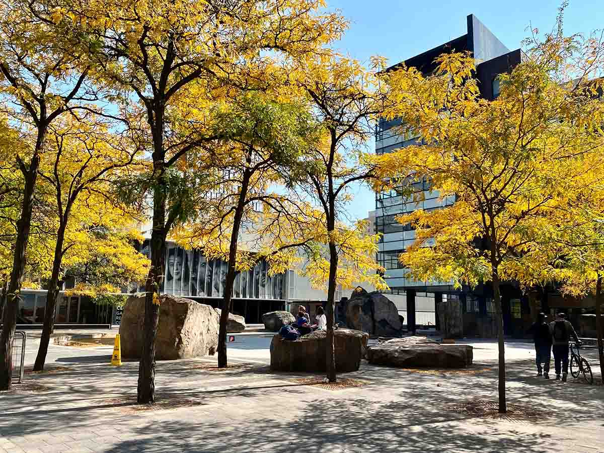 Lake Devo surrounded by trees with yellow leaves on the TMU campus on a sunny fall day.