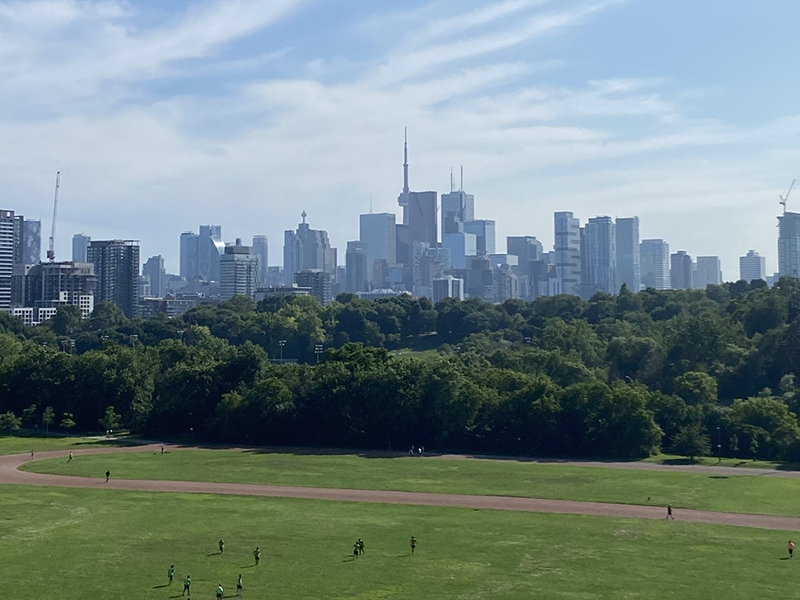 A large park with many green trees in front of the Toronto skyline on a sunny day.