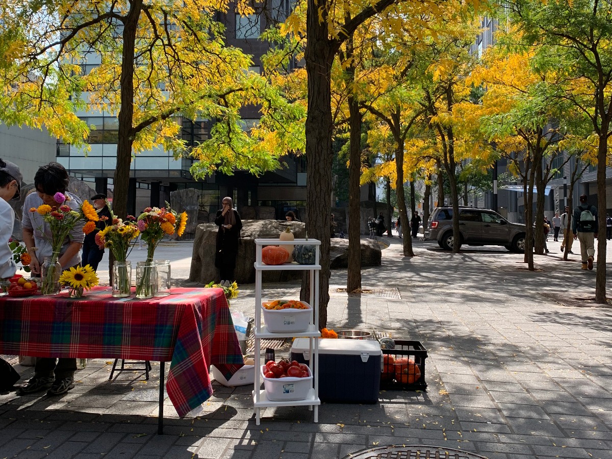Colourful leaves surround a Farmers Market with flowers and pumpkins at the Toronto Metropolitan University campus.