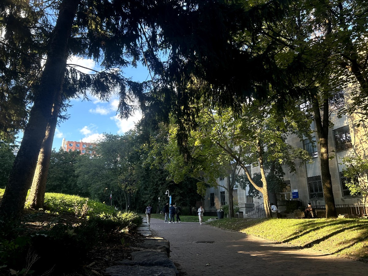 Sunlight beams onto the Kerr Hall Quad grounds as trees cast shadows over it.