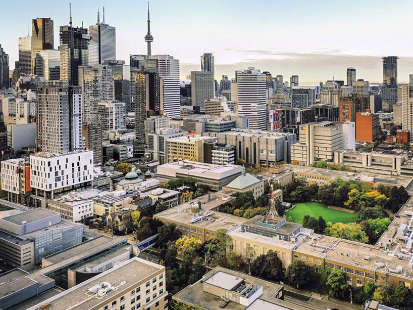 Portrait of Cristina Montefusco