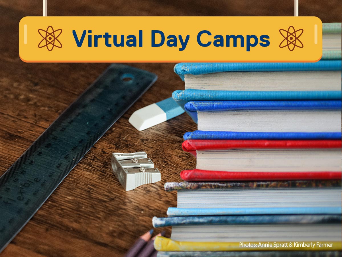 Virtual Day Camps