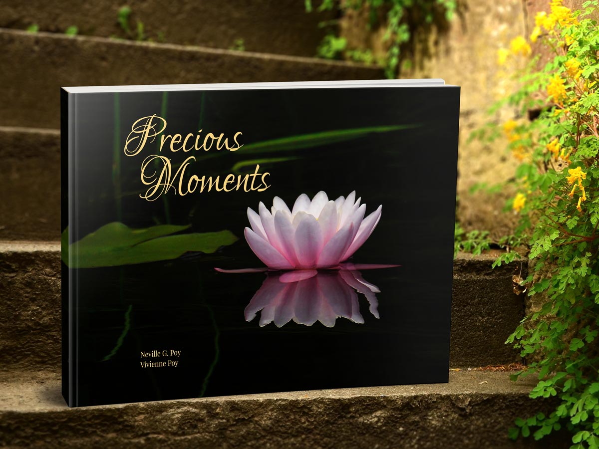 Precious Moments by Neville G. Poy and Vivienne Poy