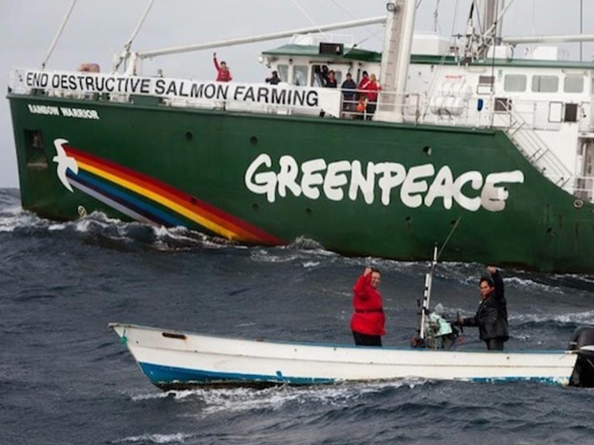 Sarah King © Anonymous/Greenpeace