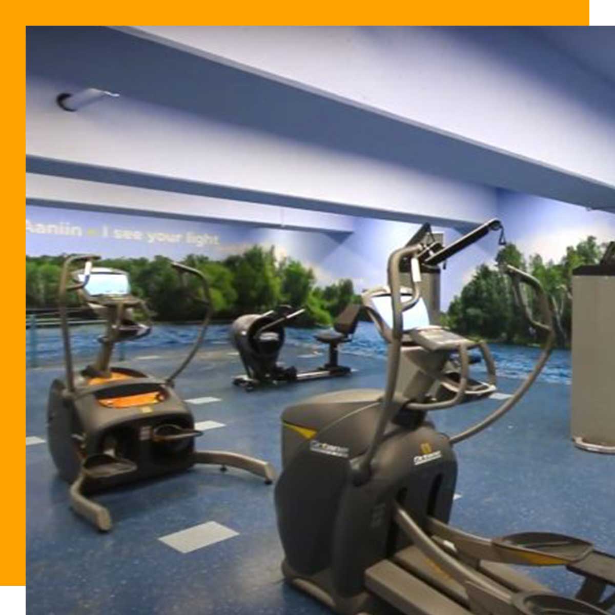 Cardio and strength equipment