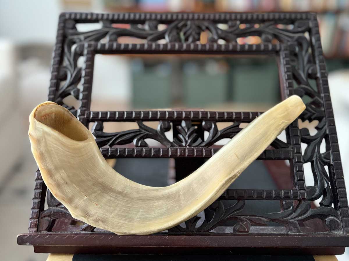 Shofar. Photo courtesy of Tamar Becker.