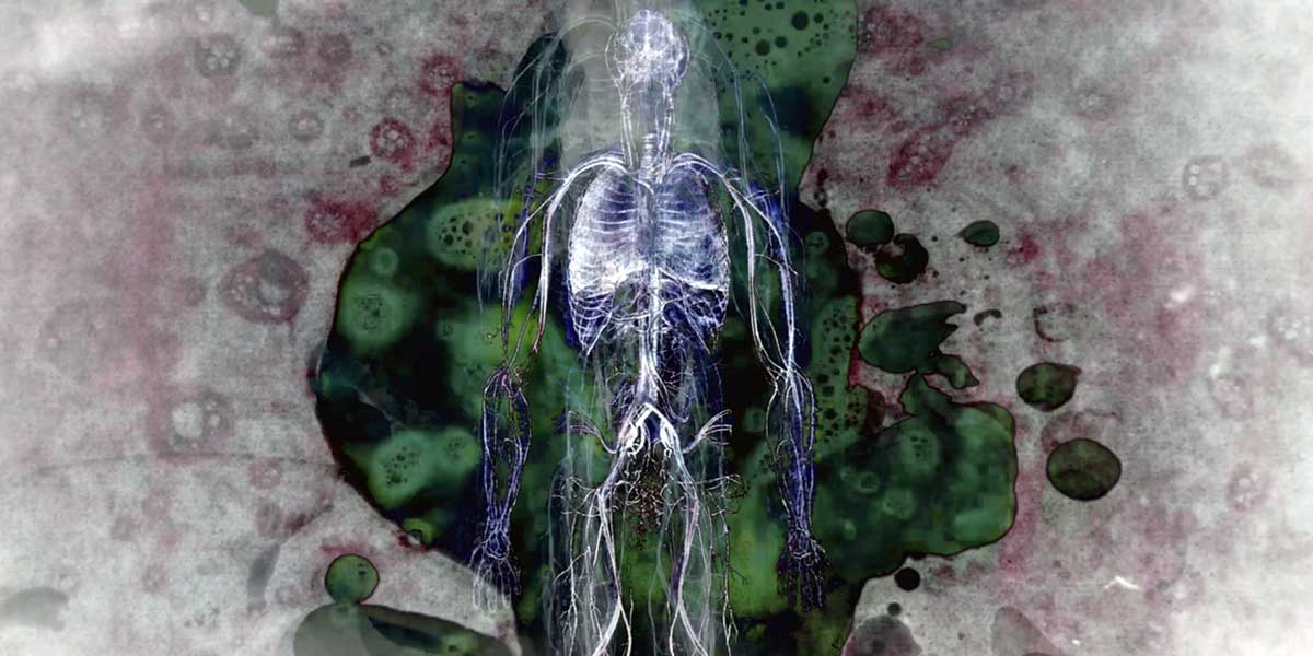 Film still of an abstract red, grey and green background with skeletal x-ray overlaid. Image credit: Peter Mettler