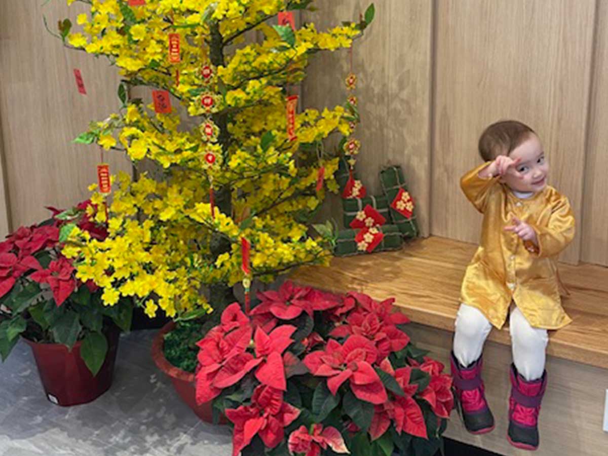 A little girl sits on a bench next to a small artificial tree, two large poinsettias on the floor.