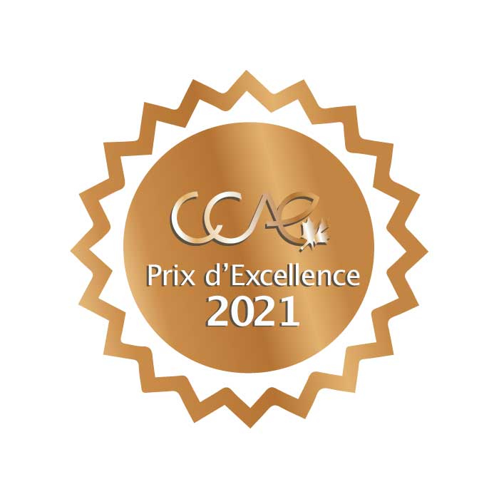 The Canadian Council for the Advancement of Education (CCAE) Prix d’Excellence Award medallion