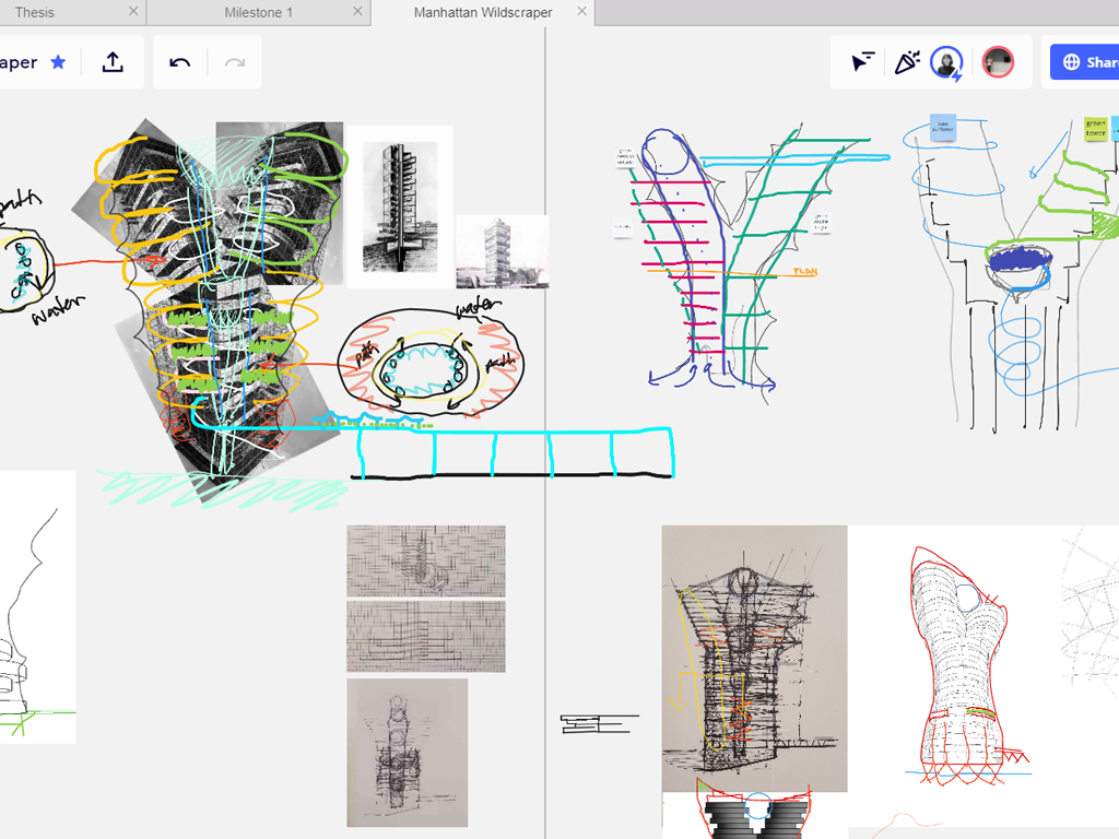 M.Arch Students Nicola Caccavella, Kavita Garg, and Julianne Guevara Win First Place in Manhattan Wildscaper Competition 