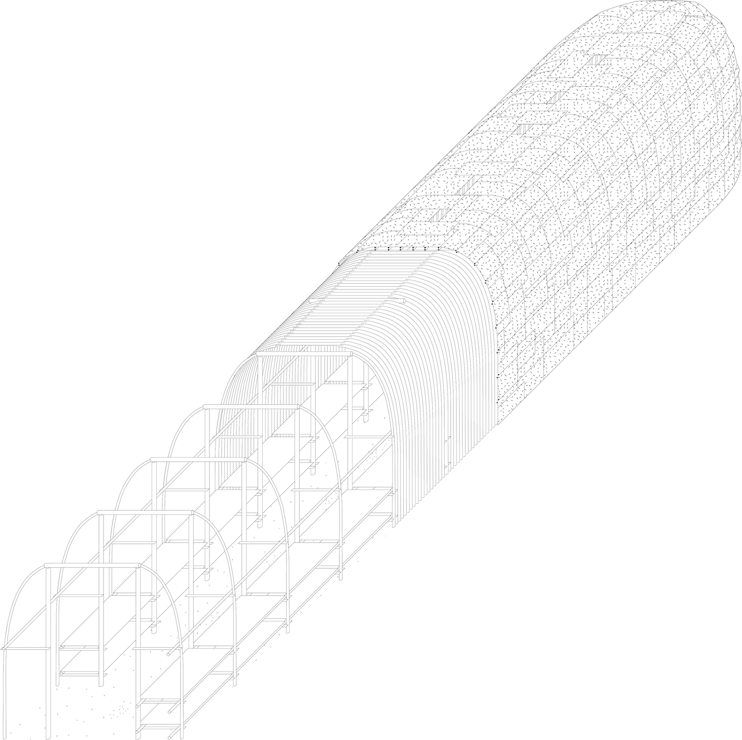 Axonometric drawing of a longhouse at Mantle, Ontario, Canada