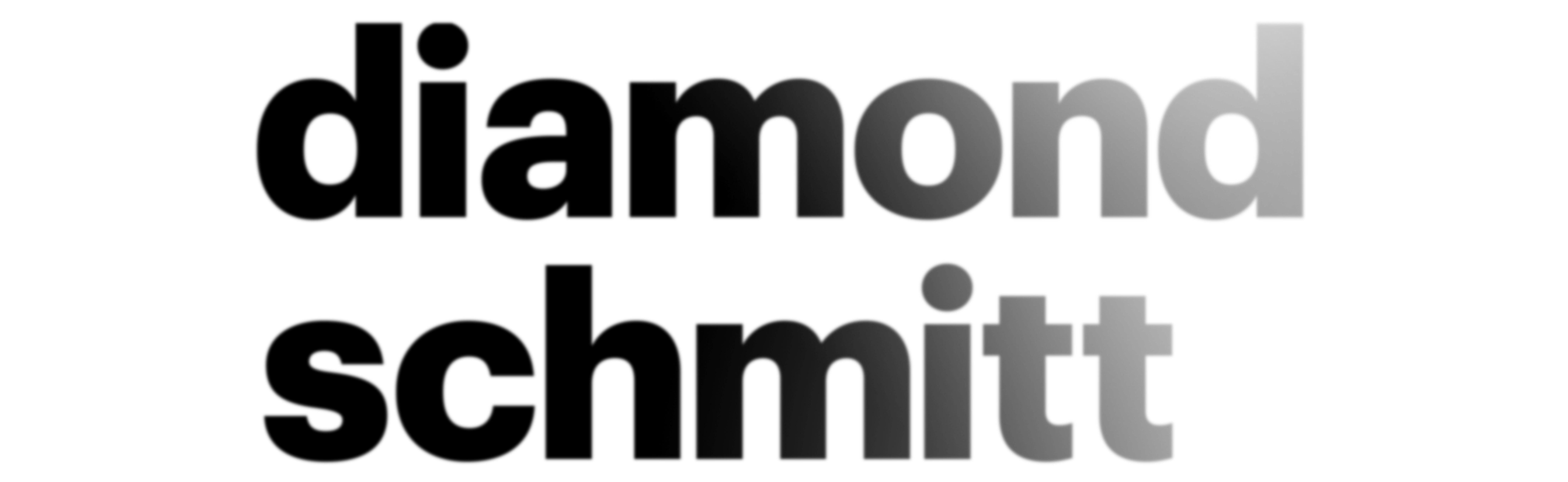 diamond and schmitt logo