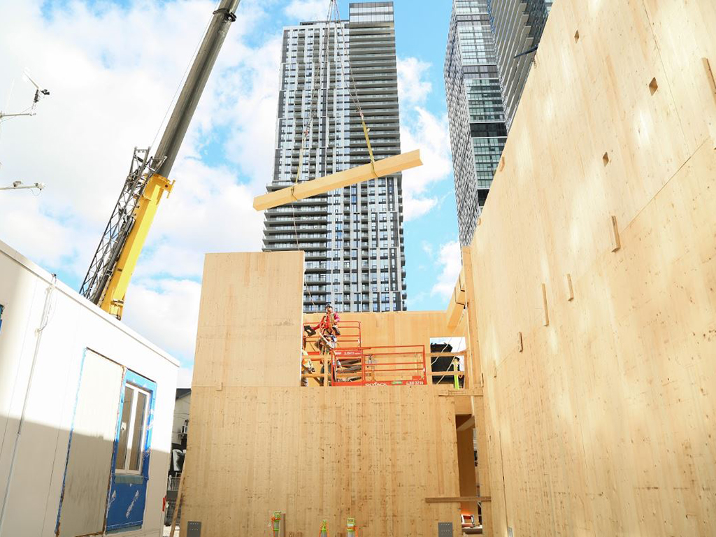 Beam by Beam: SCITHub&#39;s Timber Frame Takes Shape