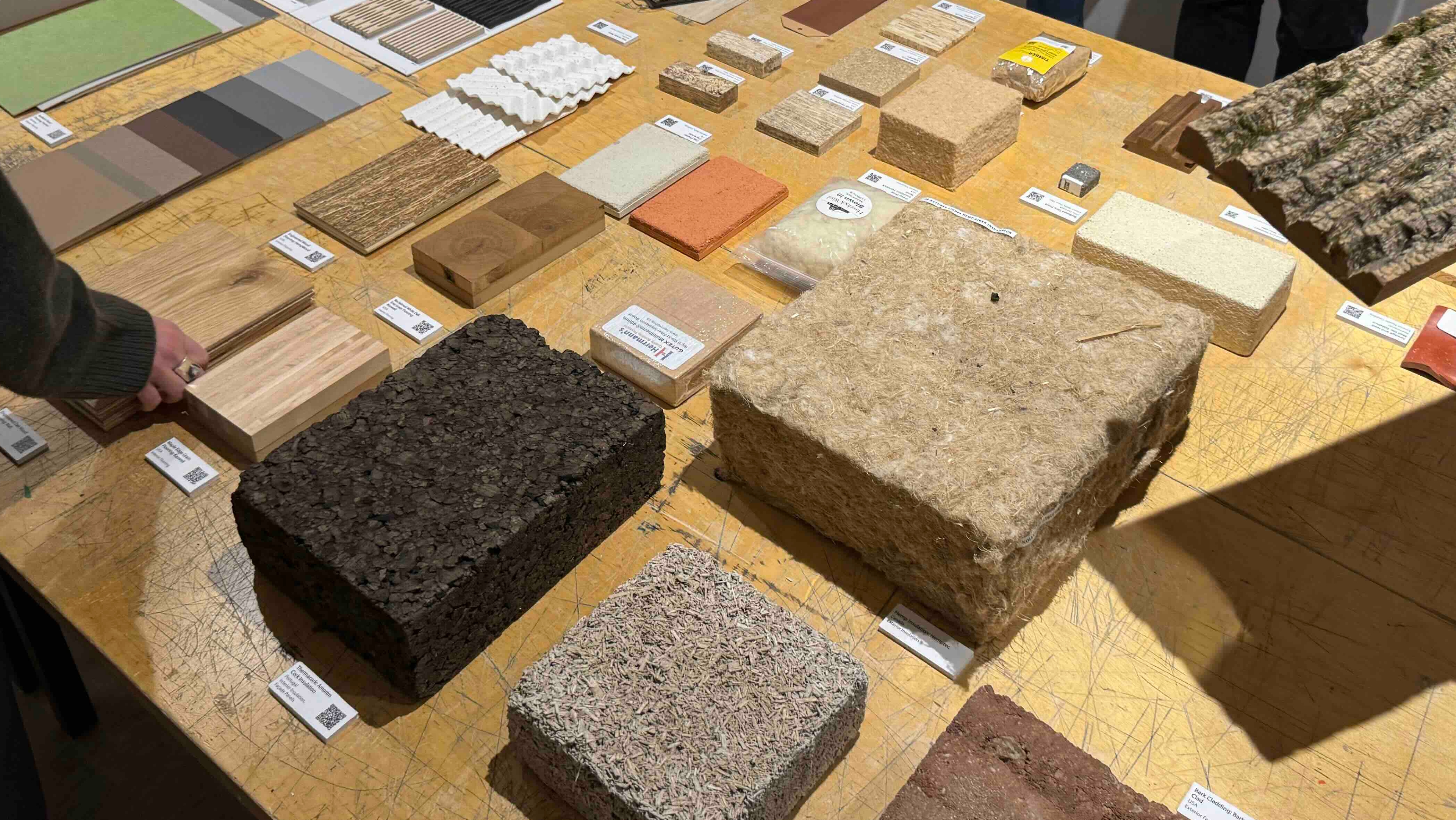 Variety of bio-based materials showcased on a table.