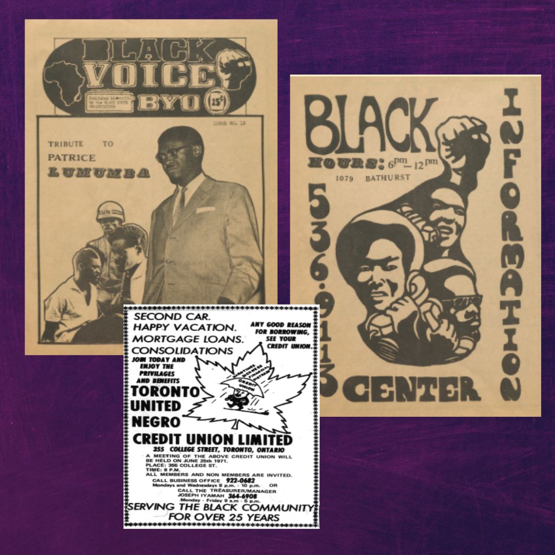 Black Studies SRC - Knight