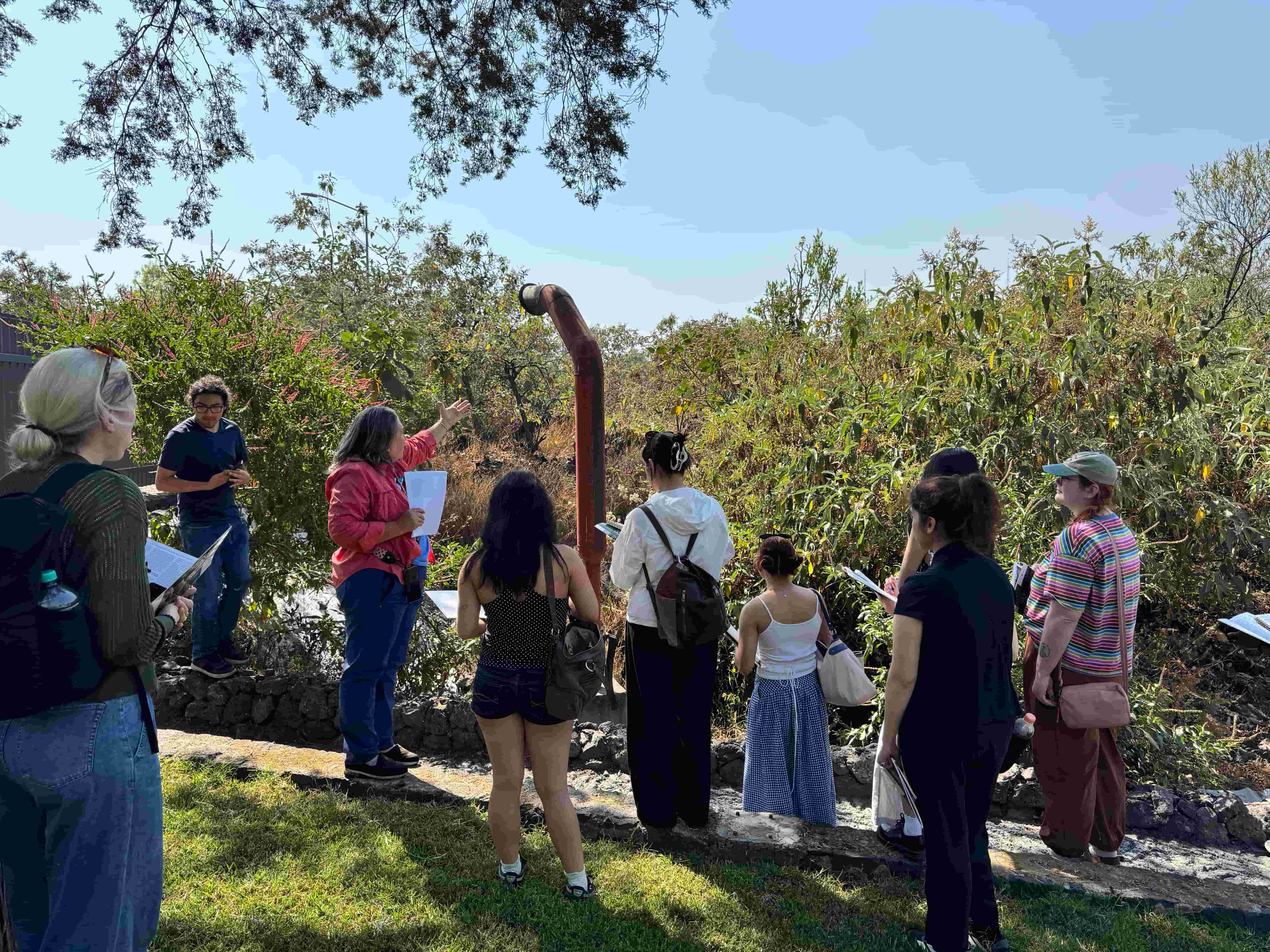 Students look and observe an artifact with the help of a tour guide pointing at it. The environment is very sunny and green with a tree in the corner and bushes all around. 