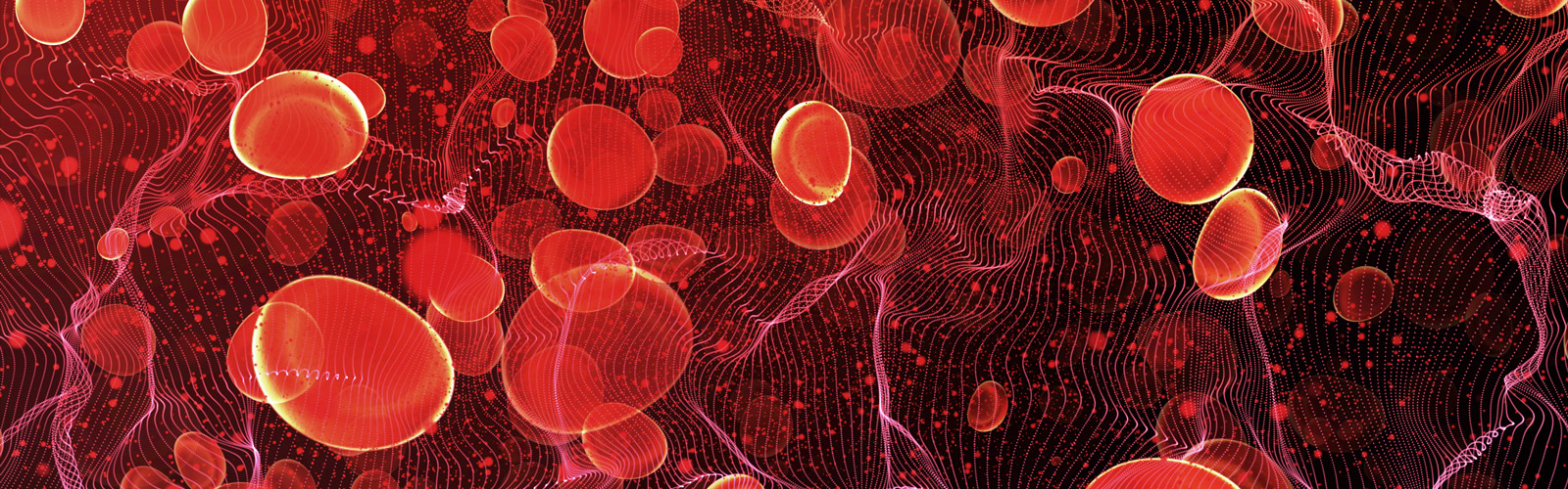 Red blood cells in travel an artery