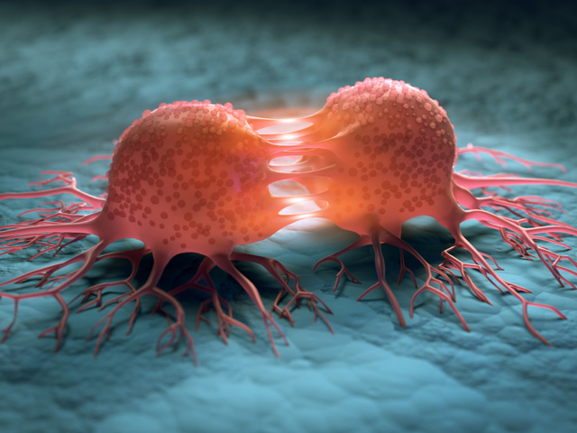 Dividing cancer cells - 3D illustration