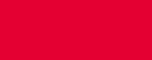 A red rectangle swatch.