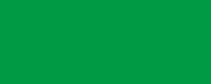 A Christmas green rectangle swatch.