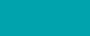 A turquoise rectangle swatch.