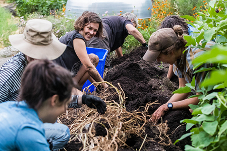 Group of students outdoors working together to plant a tree