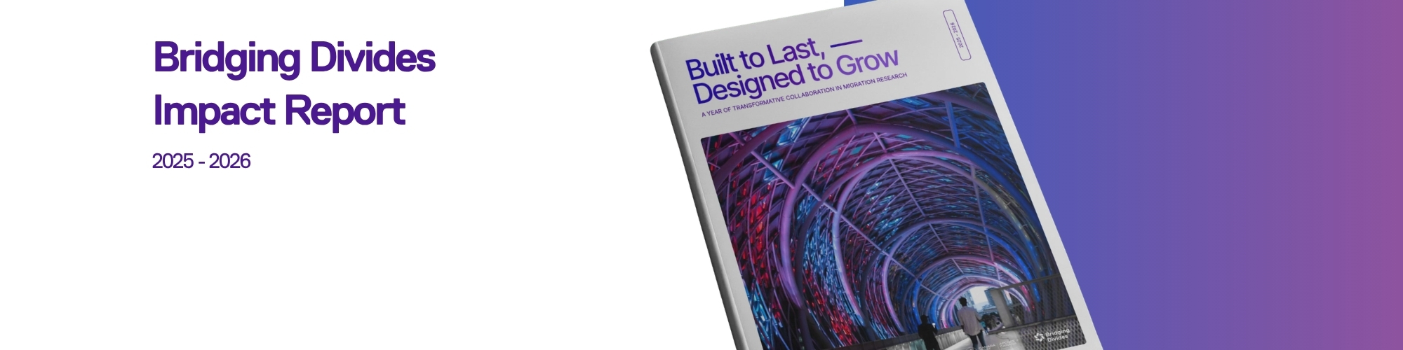 new-banner-horizontal - impact-report-banner-3
