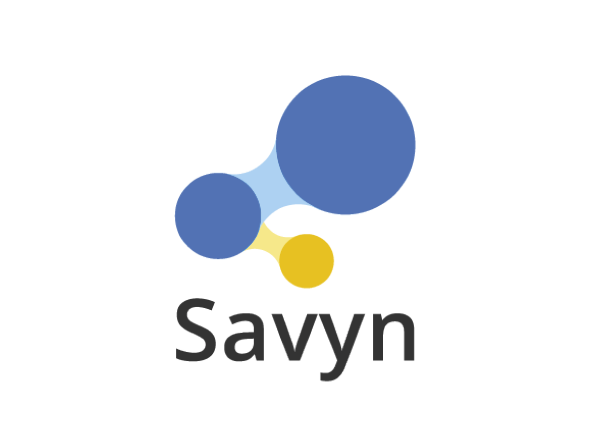 Savyn logo