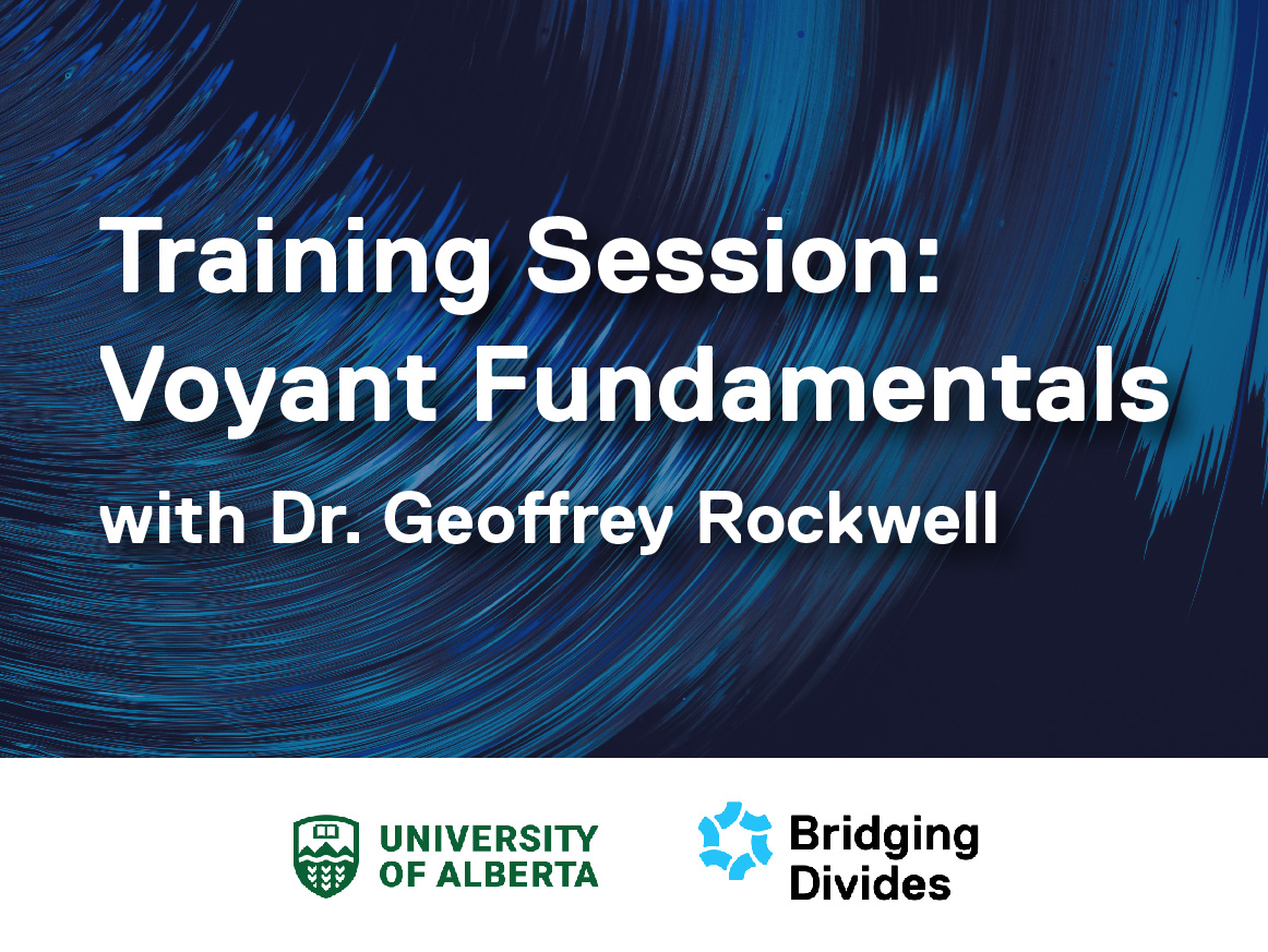 Bridging Divides Training Session: Voyant Fundamentals