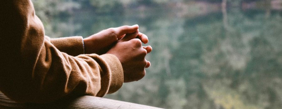 Someone leaning on a handrail, overseeing nature