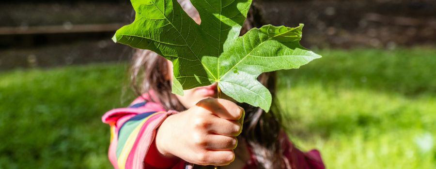 A young girl outside in nature, holding a lush green leaf in front of her face