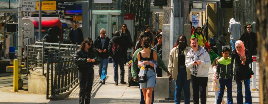 Project briefs - Horizontal - cultural-diversity-socio-economic-outcomes