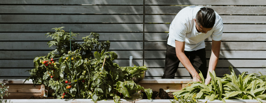 Banners for TRS3 - 5