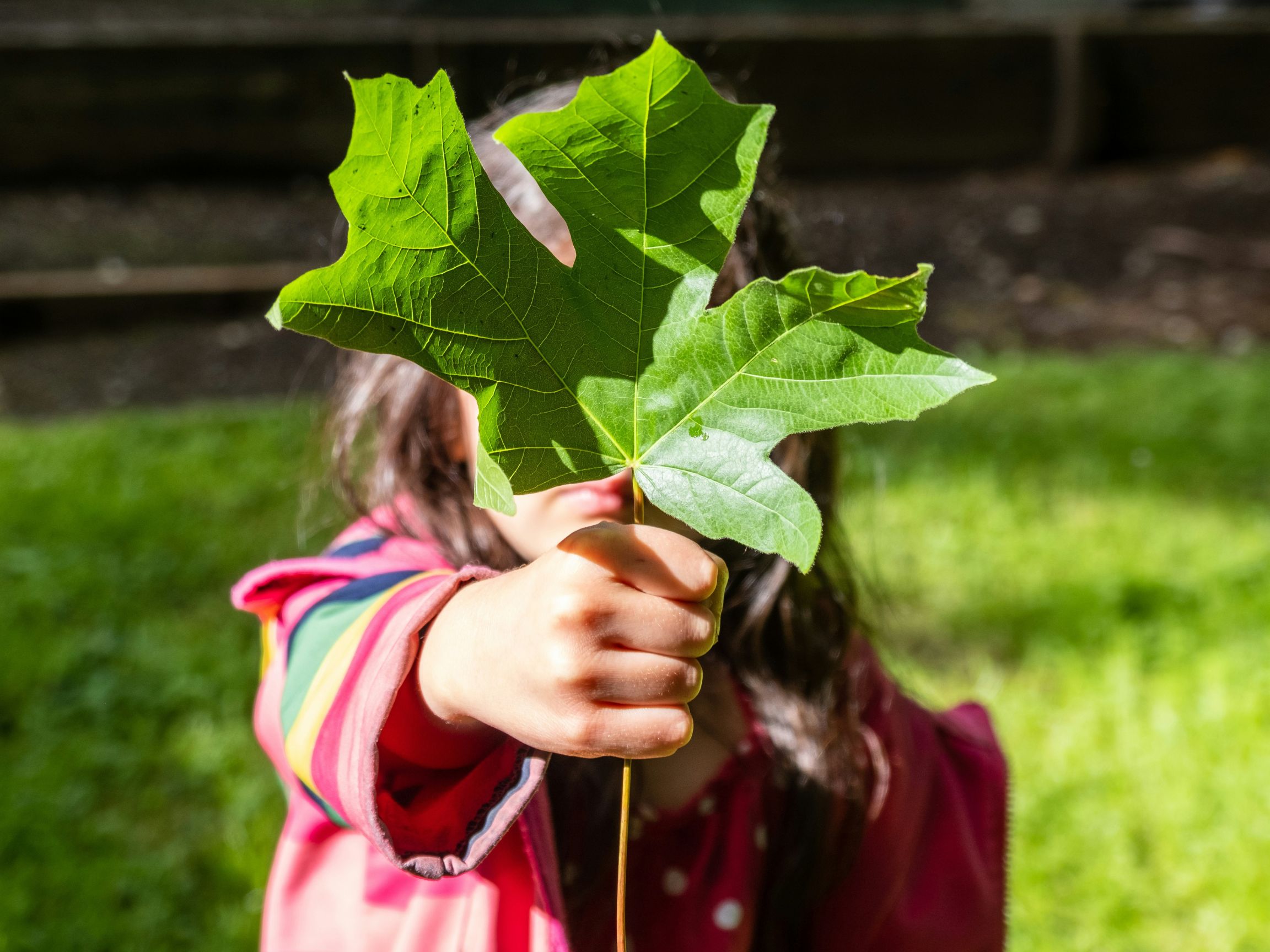  Health Effects of Climate Change Among Migrant Youth