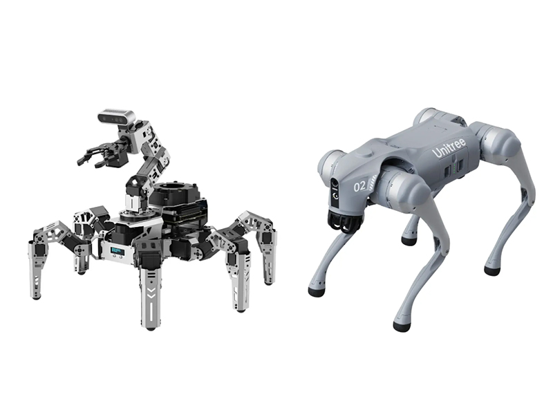 Two morphology robots side by side