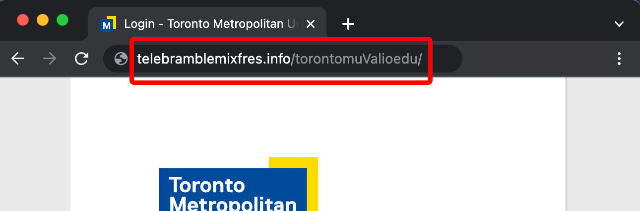 Web address bar with fake URL.