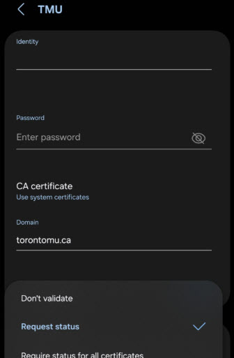 Android enter domain name