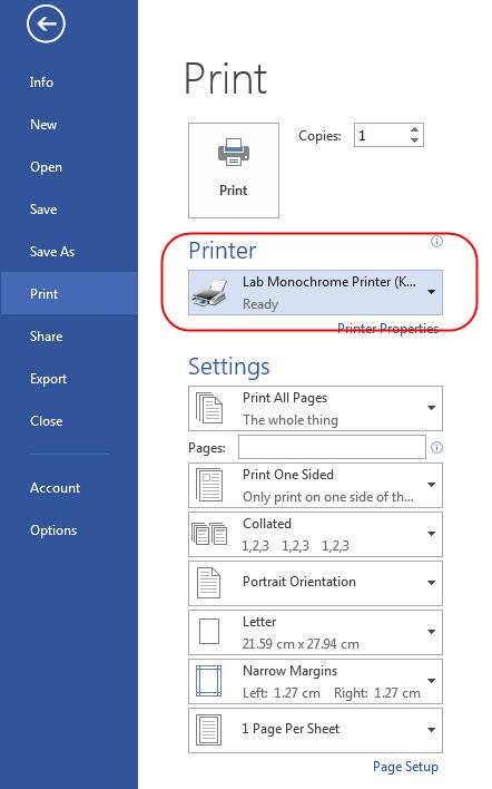 Print Screen on Microsoft Word. The Printer section is highlighted. Lab Monochrome Printer is ready for use.